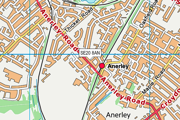 SE20 8AN map - OS VectorMap District (Ordnance Survey)