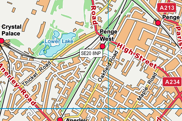 SE20 8NP map - OS VectorMap District (Ordnance Survey)