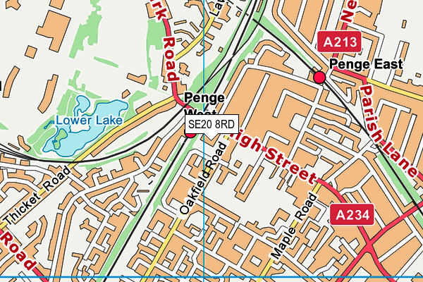 SE20 8RD map - OS VectorMap District (Ordnance Survey)