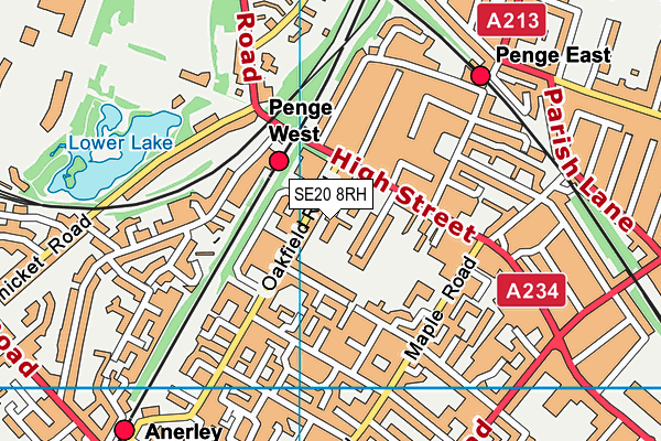 Harris Primary Academy Crystal Palace map (SE20 8RH) - OS VectorMap District (Ordnance Survey)