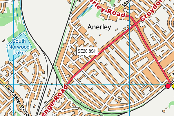 SE20 8SH map - OS VectorMap District (Ordnance Survey)