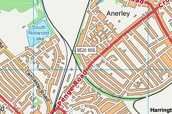 SE20 8SS map - OS VectorMap District (Ordnance Survey)