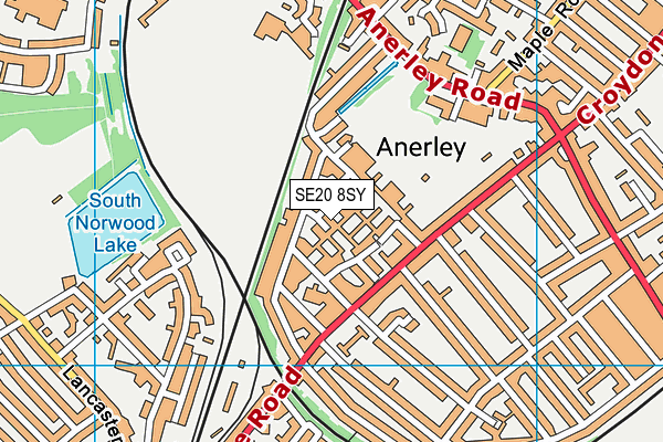 SE20 8SY map - OS VectorMap District (Ordnance Survey)