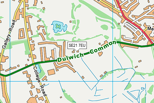 SE21 7EU map - OS VectorMap District (Ordnance Survey)