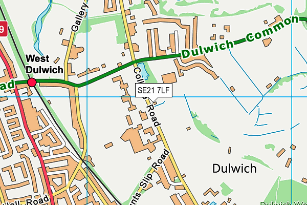 SE21 7LF map - OS VectorMap District (Ordnance Survey)