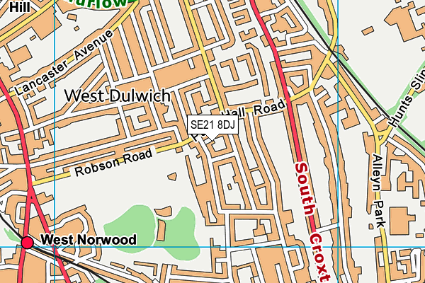 SE21 8DJ map - OS VectorMap District (Ordnance Survey)