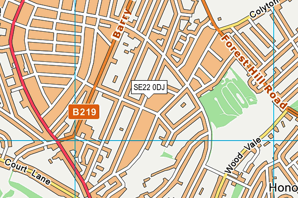 SE22 0DJ map - OS VectorMap District (Ordnance Survey)