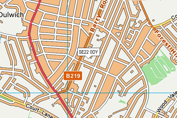 SE22 0DY map - OS VectorMap District (Ordnance Survey)
