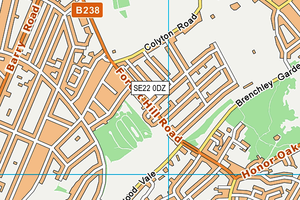 SE22 0DZ map - OS VectorMap District (Ordnance Survey)