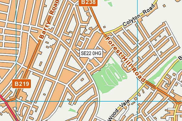 SE22 0HG map - OS VectorMap District (Ordnance Survey)
