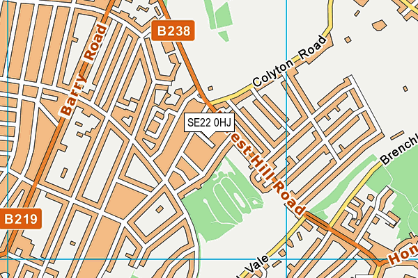 SE22 0HJ map - OS VectorMap District (Ordnance Survey)