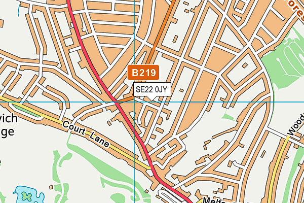 SE22 0JY map - OS VectorMap District (Ordnance Survey)