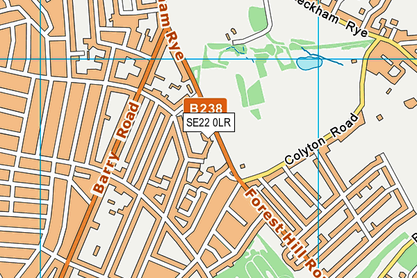 Peckham Rye Park map (SE22 0LR) - OS VectorMap District (Ordnance Survey)