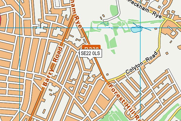 SE22 0LS map - OS VectorMap District (Ordnance Survey)