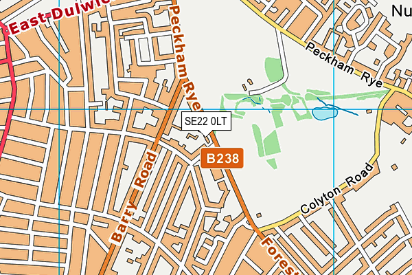 SE22 0LT map - OS VectorMap District (Ordnance Survey)
