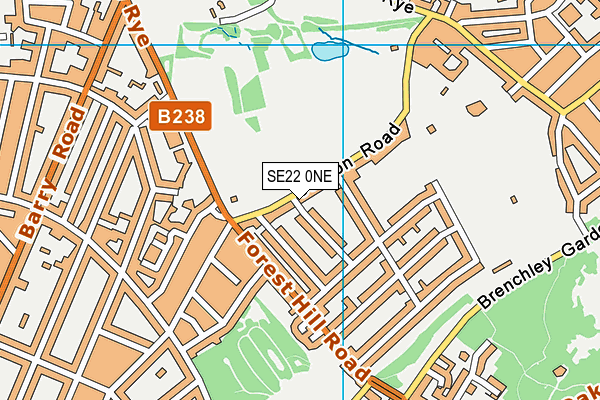 SE22 0NE map - OS VectorMap District (Ordnance Survey)