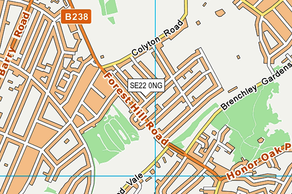 SE22 0NG map - OS VectorMap District (Ordnance Survey)
