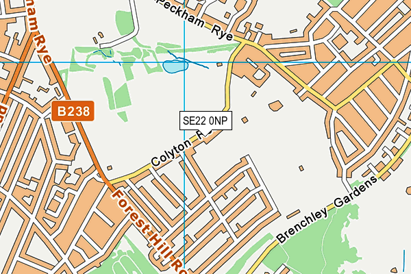 SE22 0NP map - OS VectorMap District (Ordnance Survey)