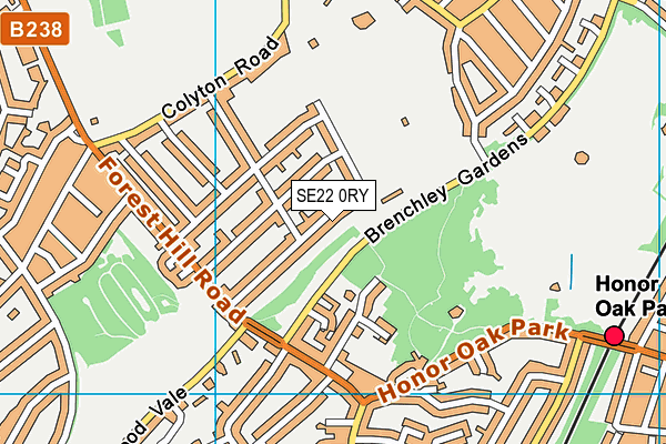SE22 0RY map - OS VectorMap District (Ordnance Survey)