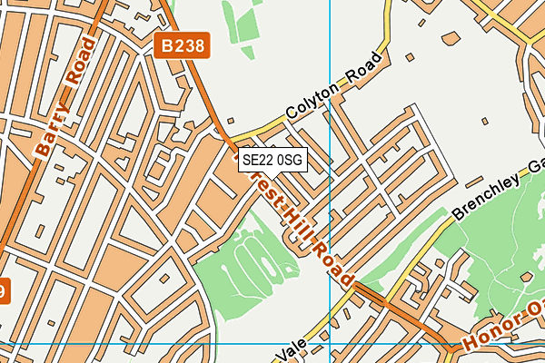 SE22 0SG map - OS VectorMap District (Ordnance Survey)