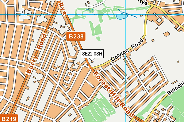 SE22 0SH map - OS VectorMap District (Ordnance Survey)