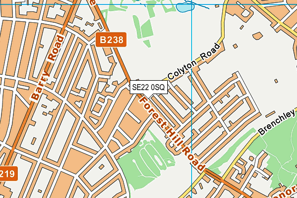 SE22 0SQ map - OS VectorMap District (Ordnance Survey)