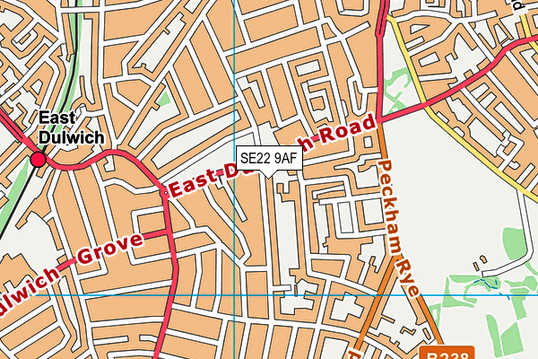SE22 9AF map - OS VectorMap District (Ordnance Survey)