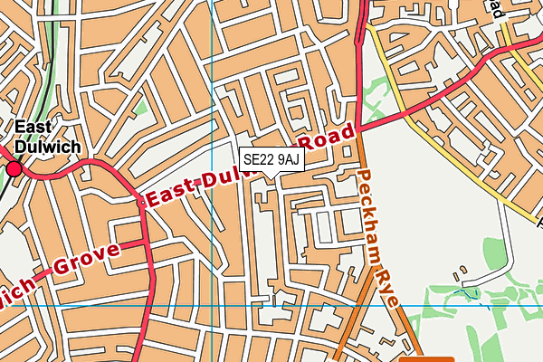 SE22 9AJ map - OS VectorMap District (Ordnance Survey)