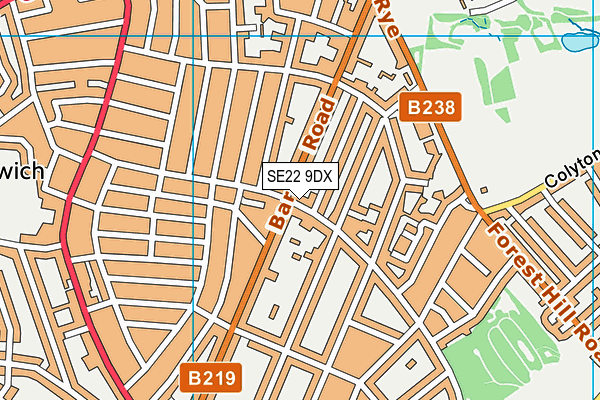SE22 9DX map - OS VectorMap District (Ordnance Survey)