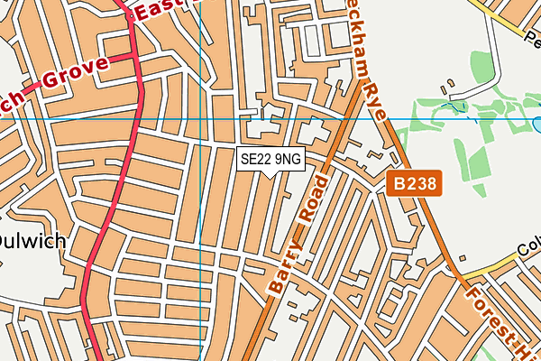 SE22 9NG map - OS VectorMap District (Ordnance Survey)