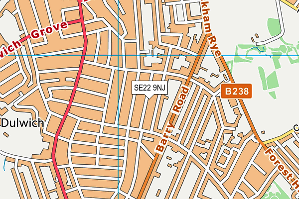 SE22 9NJ map - OS VectorMap District (Ordnance Survey)
