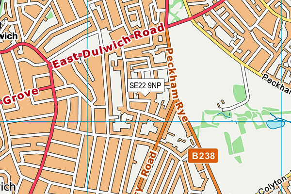 SE22 9NP map - OS VectorMap District (Ordnance Survey)