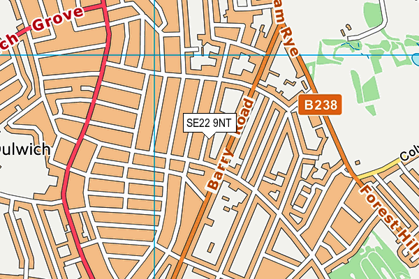 SE22 9NT map - OS VectorMap District (Ordnance Survey)