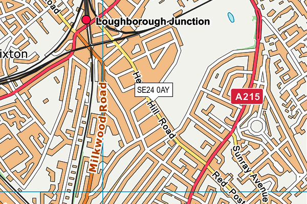 St Saviour's Church of England Primary School map (SE24 0AY) - OS VectorMap District (Ordnance Survey)