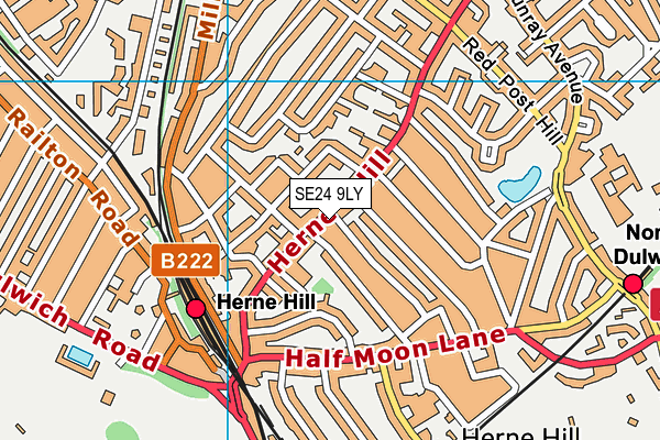 Herne Hill School map (SE24 9LY) - OS VectorMap District (Ordnance Survey)