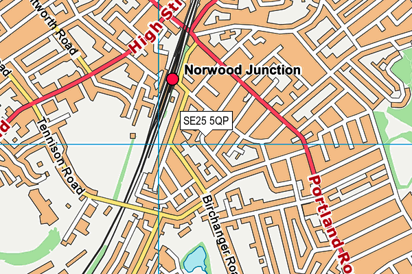 South Norwood Primary map (SE25 5QP) - OS VectorMap District (Ordnance Survey)