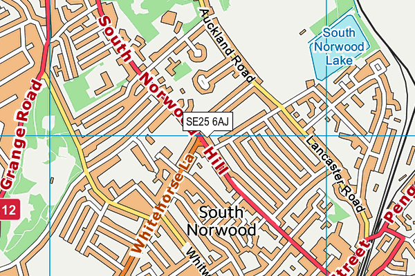 SE25 6AJ map - OS VectorMap District (Ordnance Survey)