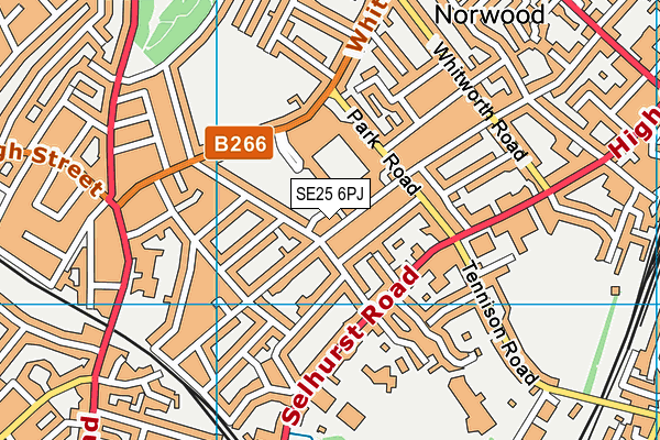 SE25 6PJ map - OS VectorMap District (Ordnance Survey)