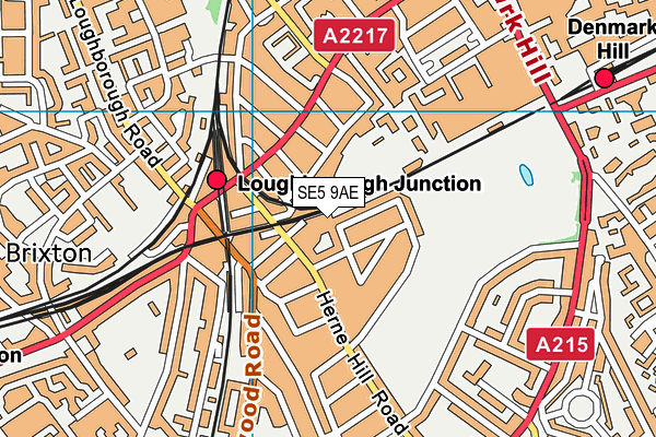 SE5 9AE map - OS VectorMap District (Ordnance Survey)
