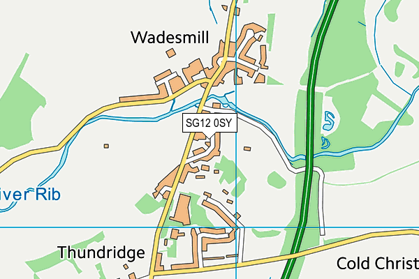 Thundridge Church of England Primary School map (SG12 0SY) - OS VectorMap District (Ordnance Survey)