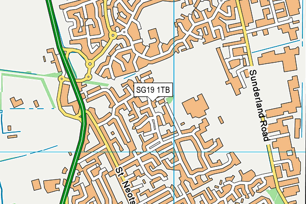 SG19 1TB map - OS VectorMap District (Ordnance Survey)