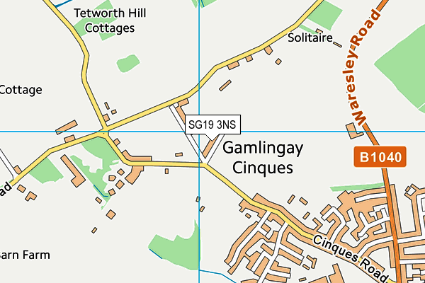 SG19 3NS map - OS VectorMap District (Ordnance Survey)