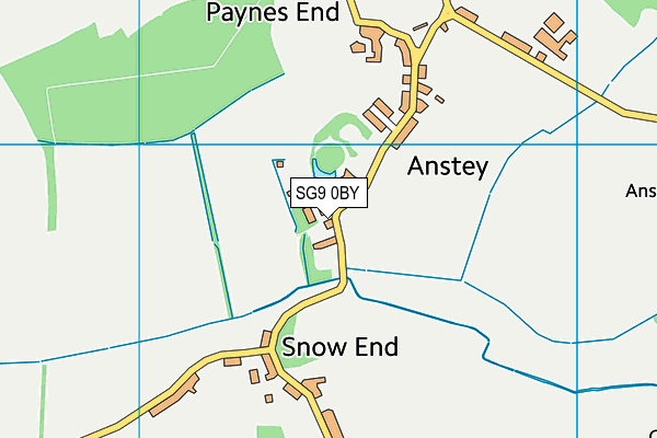 Anstey First School map (SG9 0BY) - OS VectorMap District (Ordnance Survey)