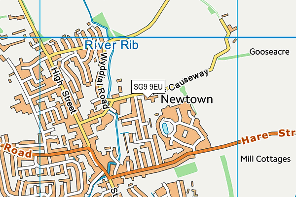 Layston Church of England First School map (SG9 9EU) - OS VectorMap District (Ordnance Survey)