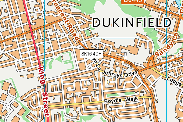 SK16 4DH map - OS VectorMap District (Ordnance Survey)