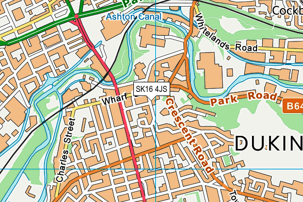 Lyndhurst Primary School map (SK16 4JS) - OS VectorMap District (Ordnance Survey)