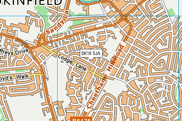 St John's CofE Primary School, Dukinfield map (SK16 5JA) - OS VectorMap District (Ordnance Survey)