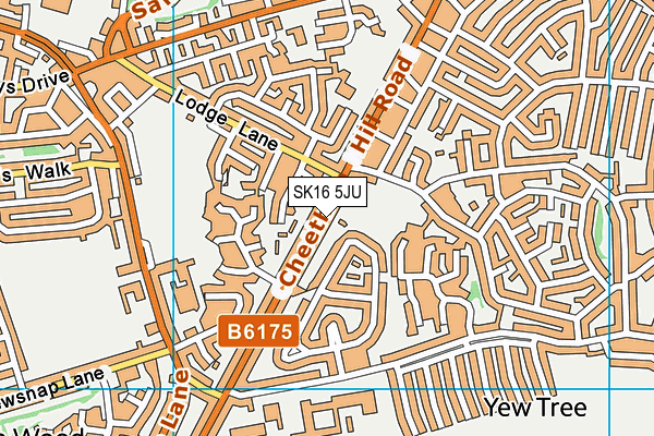 Stalybridge St. Pauls Cricket Club map (SK16 5JU) - OS VectorMap District (Ordnance Survey)
