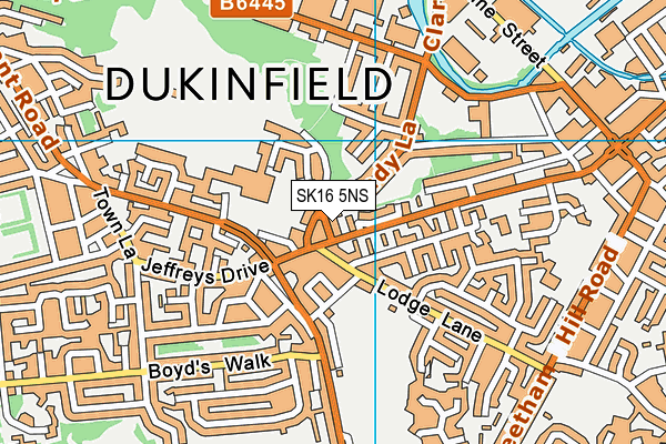 SK16 5NS map - OS VectorMap District (Ordnance Survey)