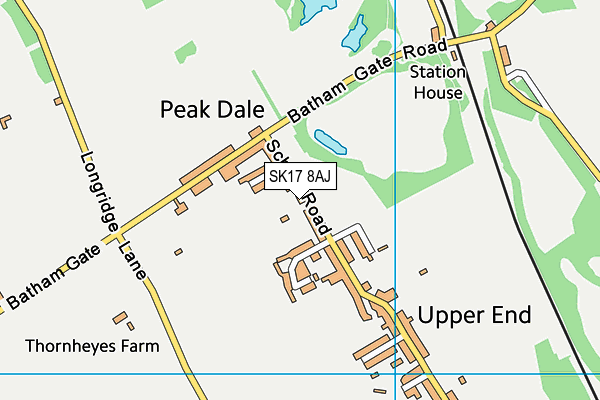 Peak Dale Primary School map (SK17 8AJ) - OS VectorMap District (Ordnance Survey)